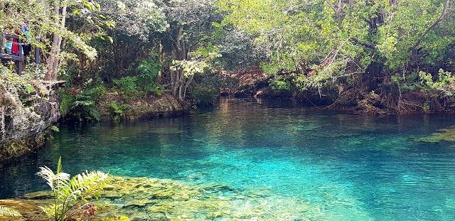 Parc écologique Indigenous Eyes
